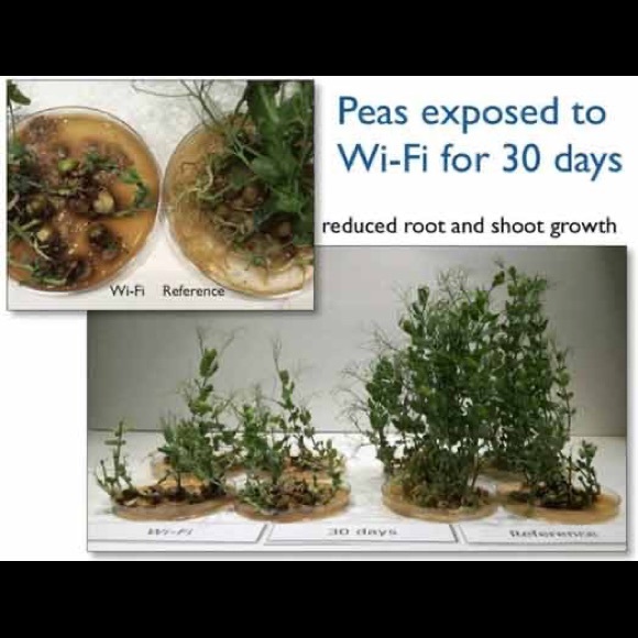 Reach out for offers :) - Picture 8 of 12